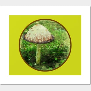 Coprinus Comatus Mushroom Posters and Art